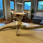 Mesnerhof Appartement *