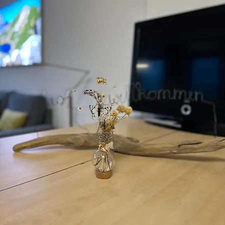 Mesnerhof شقة